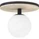 Carnagie LED 15 inch Matte Black Flush Mount Ceiling Light