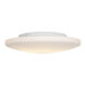 Orion LED 19 inch White Flush Mount Ceiling Light