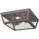 Madison 2 Light 12 inch Bronze Outdoor Flush Mount in Seedy Glass