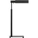 Leonard 43.5 inch 9 watt Aged Iron Task Floor Lamp Portable Light