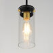 Pinn 1 Light 5 inch Black/Satin Brass Mini Pendant Ceiling Light