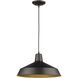 Alcove 1 Light 15.75 inch Pendant