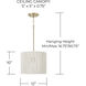 Tara 1 Light 12 inch Matte Brass Pendant Ceiling Light
