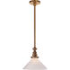 Chapman & Myers Boston 1 Light 10.00 inch Pendant