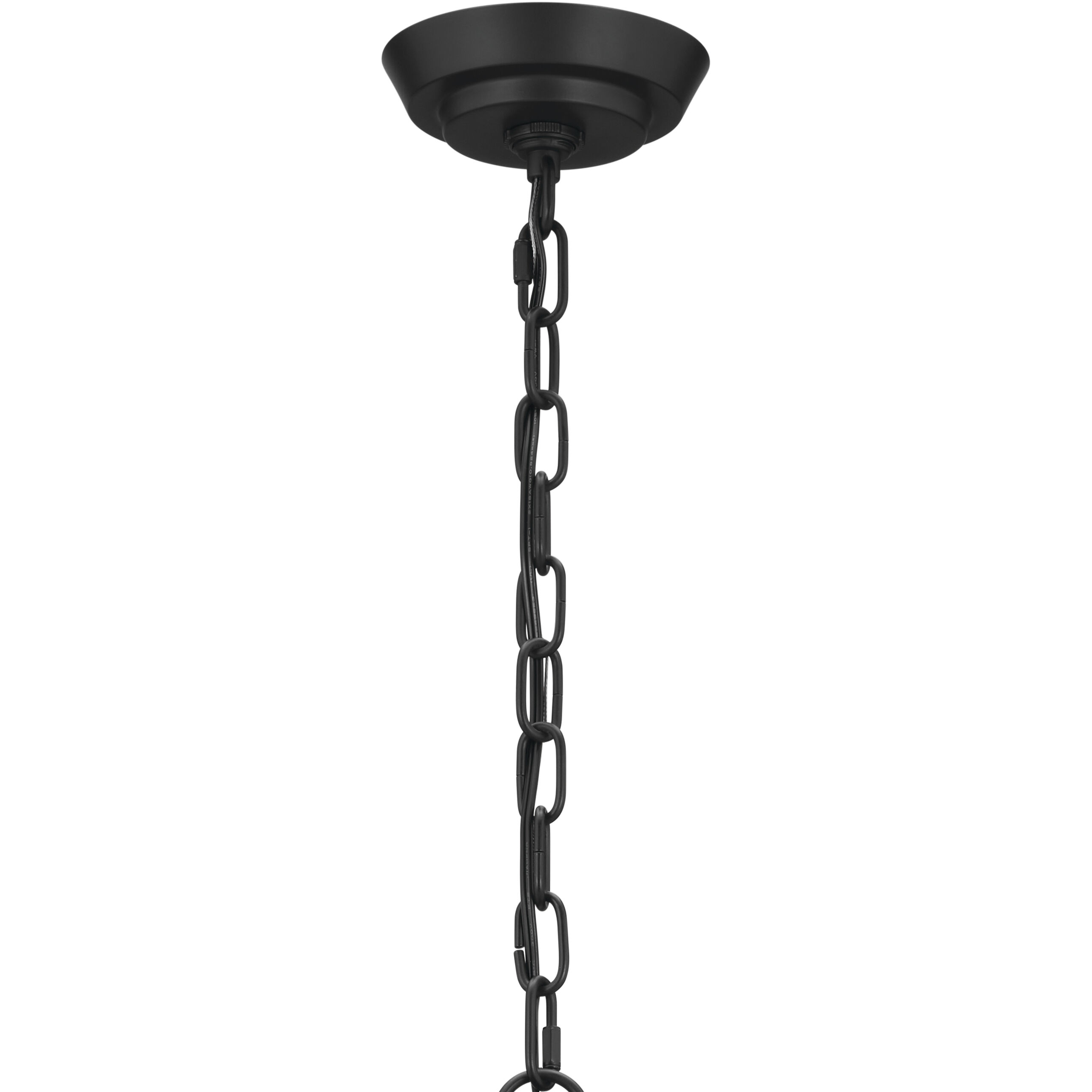 Truby 6 Light 29.25 inch Black Chandelier Ceiling Light, Medium