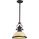 Chadwick 1 Light 13.00 inch Pendant