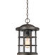 Crusade 1 Light 10 inch Palladian Bronze Outdoor Hanging Lantern