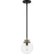 Axis 1 Light 8 inch Matte Black and Brass Accents Pendant Ceiling Light