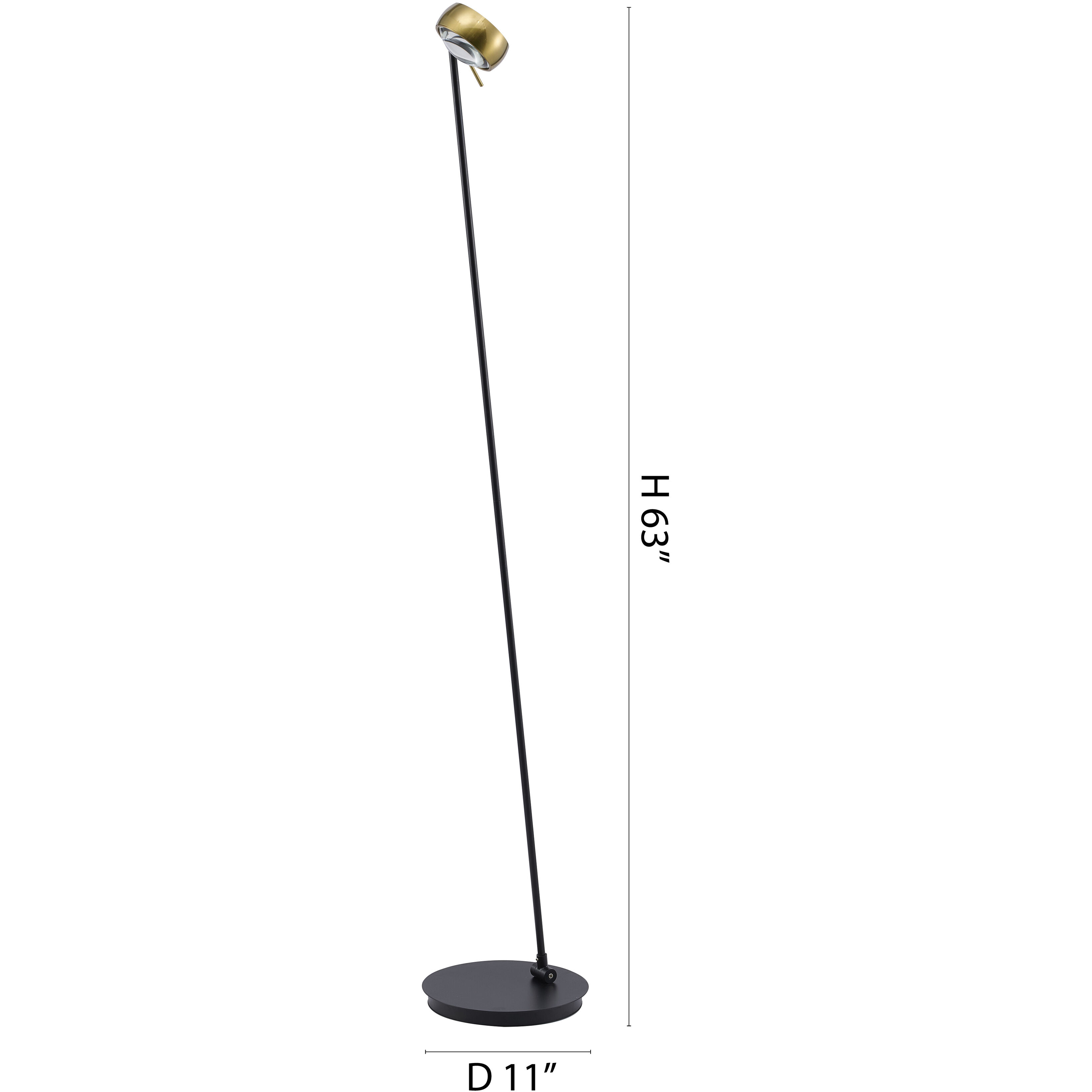 Canada 63 inch 11 watt Black & Stain Brass Floor Lamp Portable Light