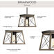 Briarwood 1 Light 10 inch Antique Bronze Mini-Pendant Ceiling Light