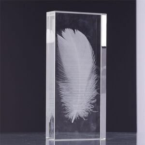 Crystal-Encased Feathers Decorative Accent