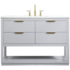Larkin 48 X 22 X 34 inch Grey Vanity Sink Set
