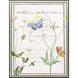 Florals Collection Green Framed Art