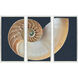 Paragon Blue and Brown and Multi and Teal Framed Art