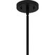 Asher 1 Light 8 inch Matte Black Mini Pendant Ceiling Light