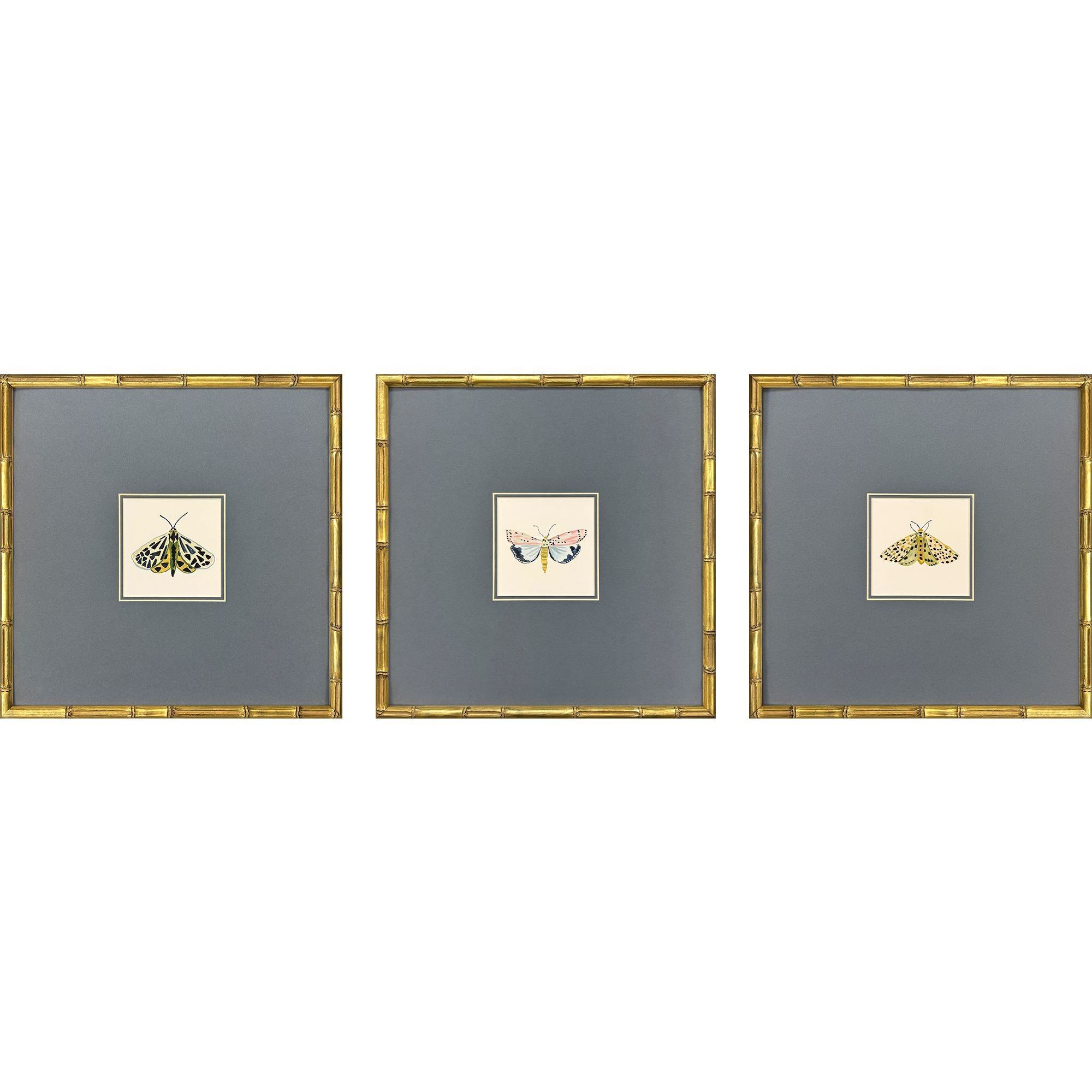 Pastel Moths Green and Blue and Multi and Pink Framed Art