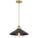 Segan 1 Light 15 inch Coal & Soft Brass (Painted) Mini Pendant Ceiling Light, Outdoor