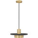 Ludo LED 12 inch Matte Black and Modern Gold Pendant Ceiling Light