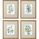 Florals Collection Green Framed Art