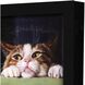 Animals Collection 11 X 9 inch Non-Glass Framed Art