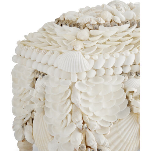 Boardwalk 10 inch Natural Jewelry Box