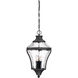 Libre 4 Light 10.75 inch Coal Outdoor Chain Hung, The Great Outdoors