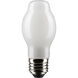 Lumos LED Medium Medium 8.00 watt 2700K LED Filament