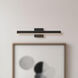 Vega Picture 13.00 watt 19 inch Black Wall/Picture Light Wall Light