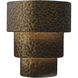 Ambiance Terrace LED 14.25 inch Hammered Polished Brass Outdoor Wall Sconce, Large