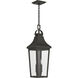 Cleary 2 Light 8.5 inch Olde Bronze Outdoor Pendant