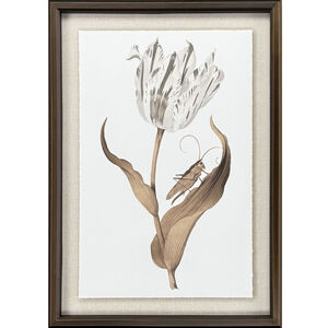 Gilded Tulip White and Brown and Metallic Framed Art