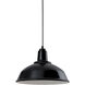 Bryson 1 Light 16 inch Black Pendant Ceiling Light, Essentials by Troy RLM