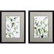 Florals Collection Green Framed Art
