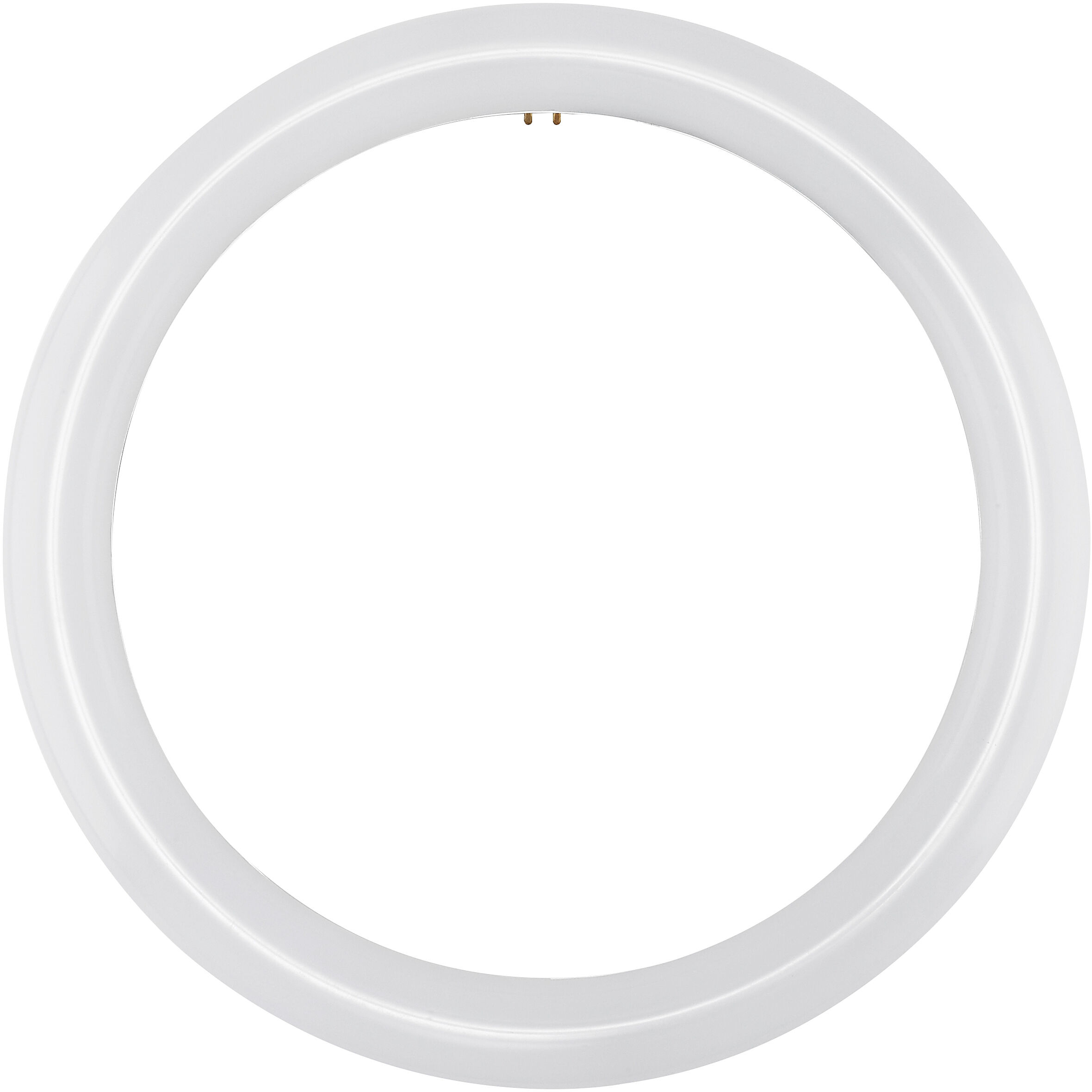 Circline LED T9 4-Pin 16 watt 120V 6500K Light Bulb