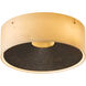 Oculus 4 Light 11.5 inch Bronze Sconce Wall Light