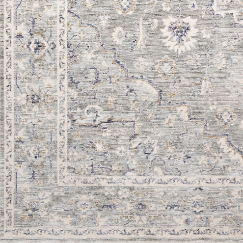 Palazzo 96 X 39 inch Taupe Rug in 3 x 8, Runner