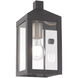 Nyack 1 Light 11 inch Scandinavian Gray Outdoor Wall Lantern