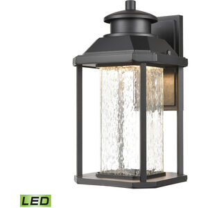 Latonia LED 13 inch Matte Black Outdoor Sconce