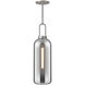 Soji 1 Light 6 inch Brushed Nickel Pendant Ceiling Light in Smoke Glass