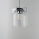 Scoop 1 Light 8 inch Polished Chrome Single Pendant Ceiling Light in Clear
