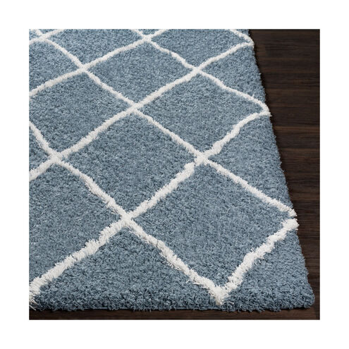 Urban Shag 35 X 24 inch Denim/White Rugs, Rectangle