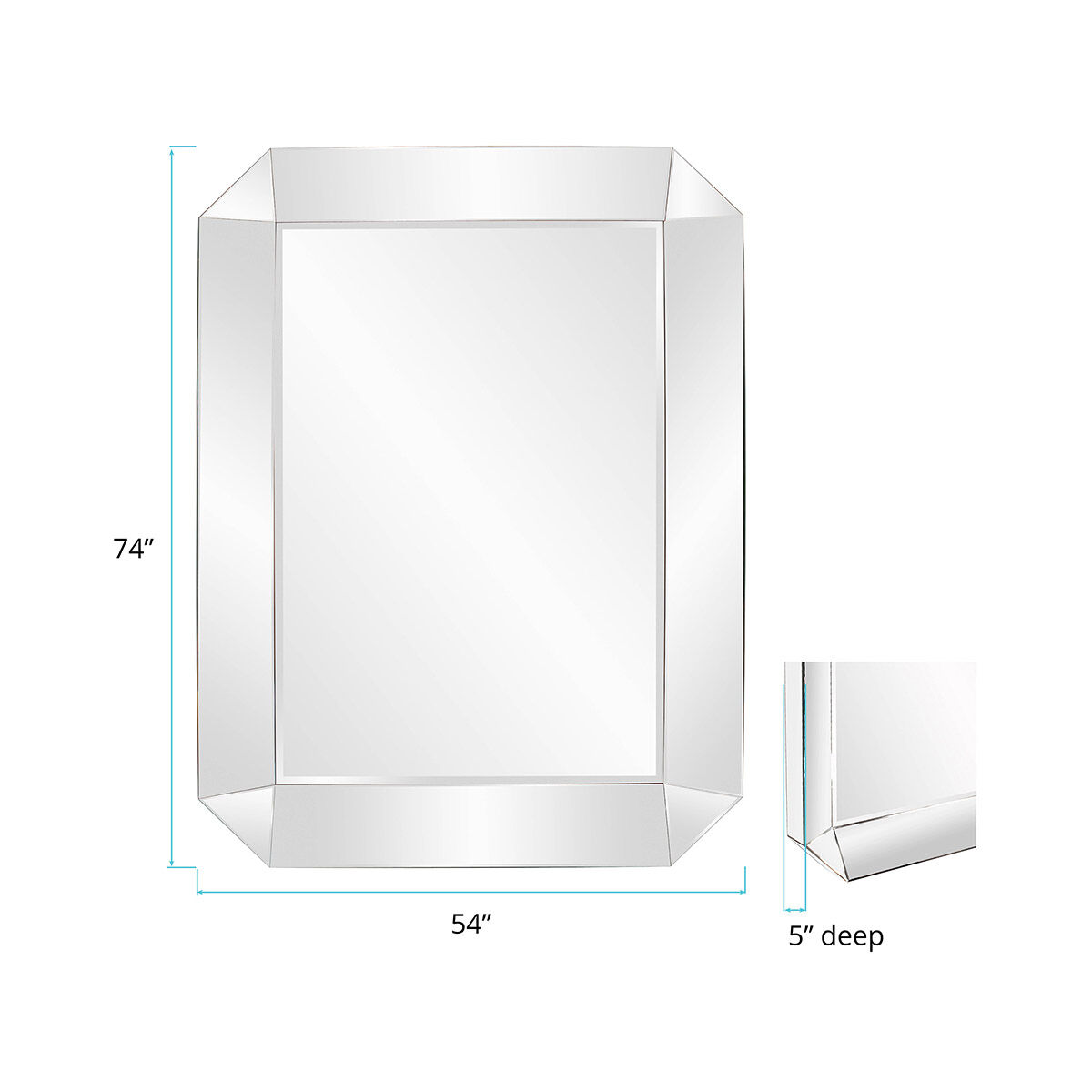 Sybil 74 X 54 inch Mirrored Wall Mirror
