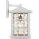 Stonington 1 Light 17 inch Fresco Outdoor Wall Lantern in White Lustre