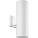 Cylinder 2 Light 14 inch White Outdoor Wall Mount Up/Down Cylinder