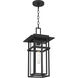 Morgan 1 Light 10 inch Earth Black Outdoor Hanging Lantern