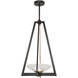 Delphi LED 17.5 inch Black Pendant Ceiling Light
