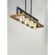 Black Forest 4 Light 30 inch Black/Ashbury Linear Pendant Ceiling Light