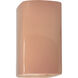 Ambiance LED 9.5 inch Gloss Blush Outdoor Wall Sconce