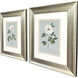 Rose Beauty Blue and Green and White Framed Art, Propac