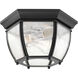 Zachriel 2 Light 11 inch Textured Black Outdoor Flush Mount